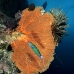 fan_sea_hm_lan_v_0053_tha5276.jpg